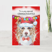 Border Collie kleindochter Kerstwensen Kerstman Kaart (Voorkant)