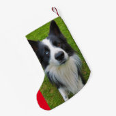 Border Collie Kleine Kerstsok (Achterkant (Hangend))