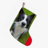Border Collie Kleine Kerstsok (Voorkant (Hangend))