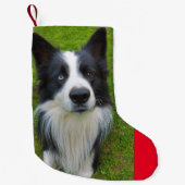 Border Collie Kleine Kerstsok (Voorkant)