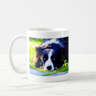 Border Collie Koffiemok