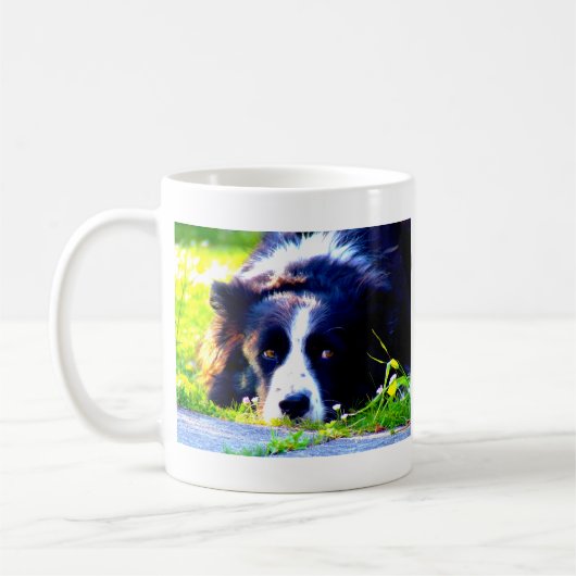 Border Collie Koffiemok (Links)