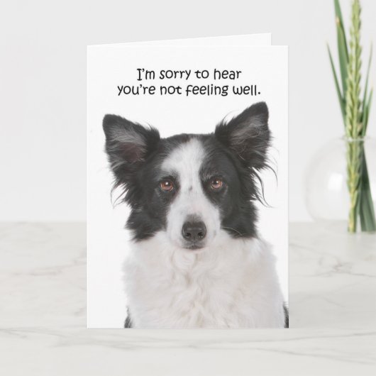 Border Collie krijgt een goede Kaart (Voorkant)