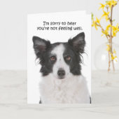 Border Collie krijgt een goede Kaart (Gele Bloem)
