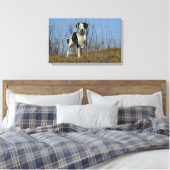 Border Collie Leg opgetild Canvas Afdruk (Insitu (Slaapkamer))
