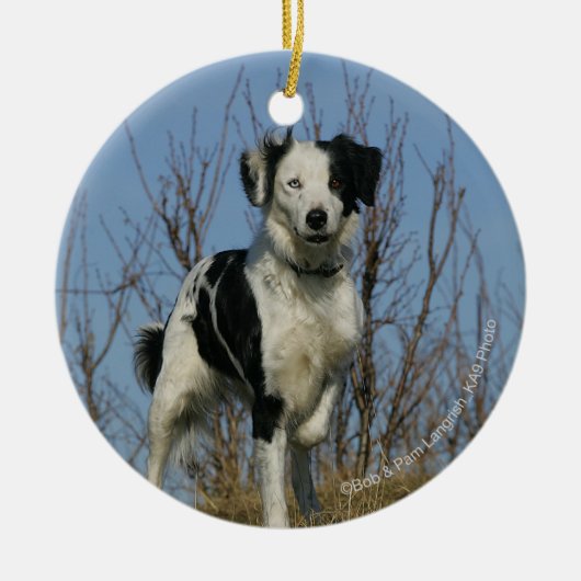 Border Collie Leg opgetild Keramisch Ornament (Voorkant)
