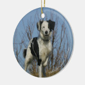 Border Collie Leg opgetild Keramisch Ornament (Links)