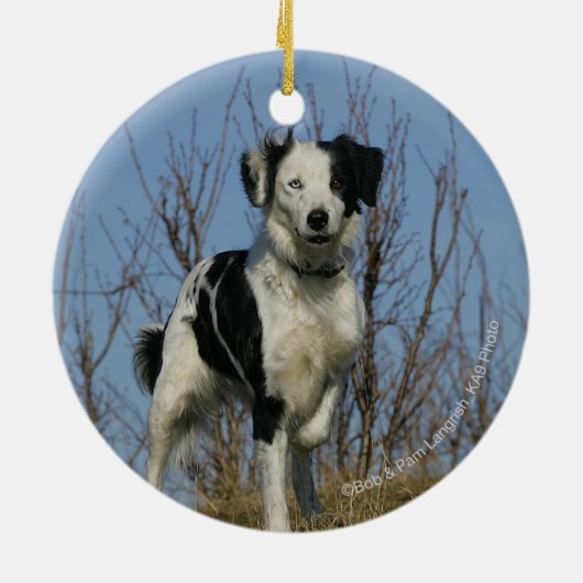 Border Collie Leg opgetild Keramisch Ornament (Achterkant)