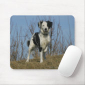 Border Collie Leg opgetild Muismat (Met muis)