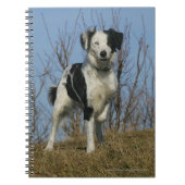 Border Collie Leg opgetild Notitieboek (Voorkant)