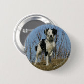 Border Collie Leg opgetild Ronde Button 5,7 Cm (Voorkant /achterkant)