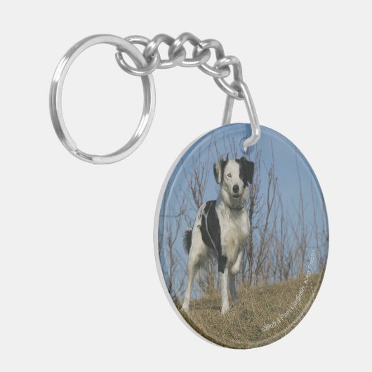 Border Collie Leg opgetild Sleutelhanger (Voorkant Links)