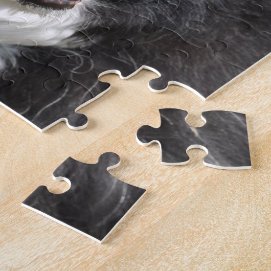Border Collie Legpuzzel (Zijkant)