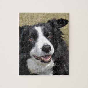 Border Collie Legpuzzel