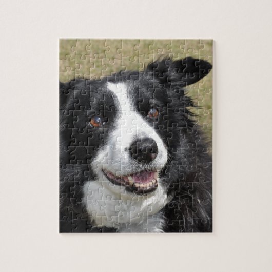 Border Collie Legpuzzel (Verticaal)