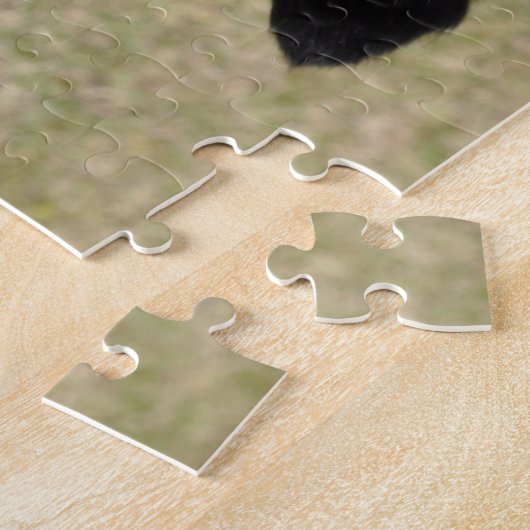 Border Collie Legpuzzel (Zijkant)