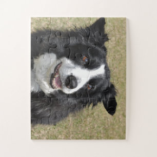 Border Collie Legpuzzel