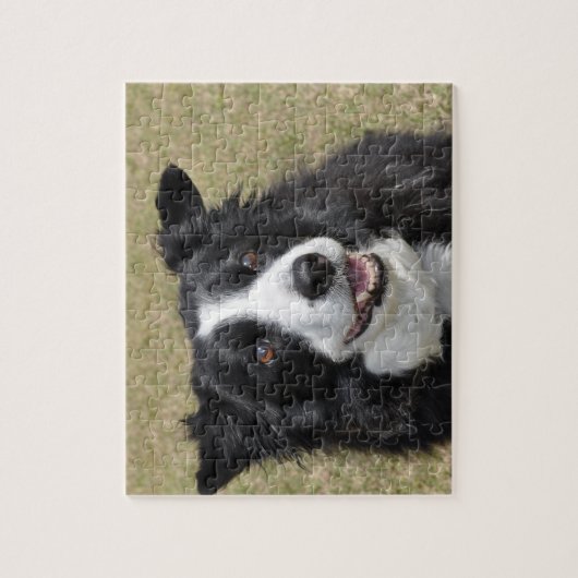 Border Collie Legpuzzel (Verticaal)