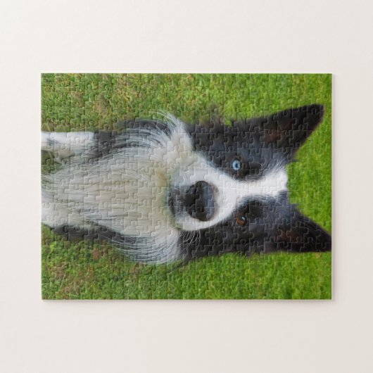 Border Collie Legpuzzel (Horizontaal)