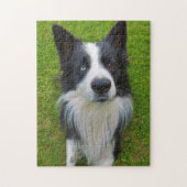 Border Collie Legpuzzel (Verticaal)