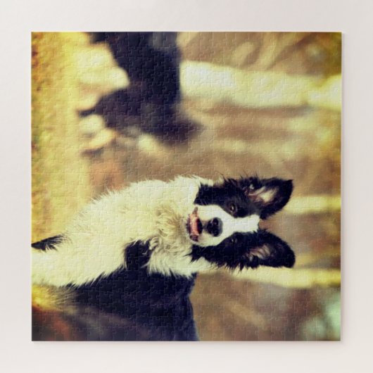 Border Collie Legpuzzel (Horizontaal)