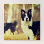 Border Collie Legpuzzel (Verticaal)