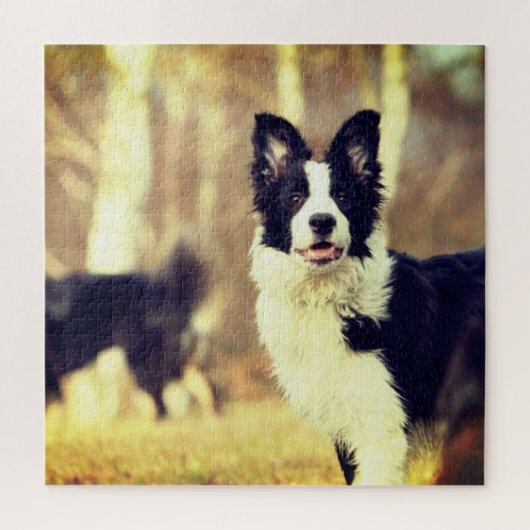 Border Collie Legpuzzel (Verticaal)