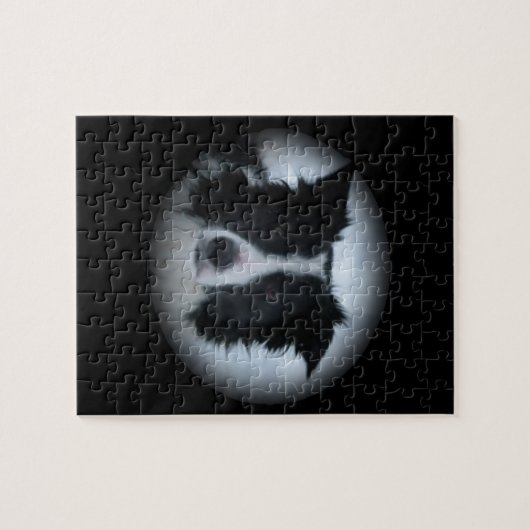 Border Collie Legpuzzel (Horizontaal)