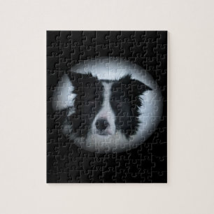 Border Collie Legpuzzel