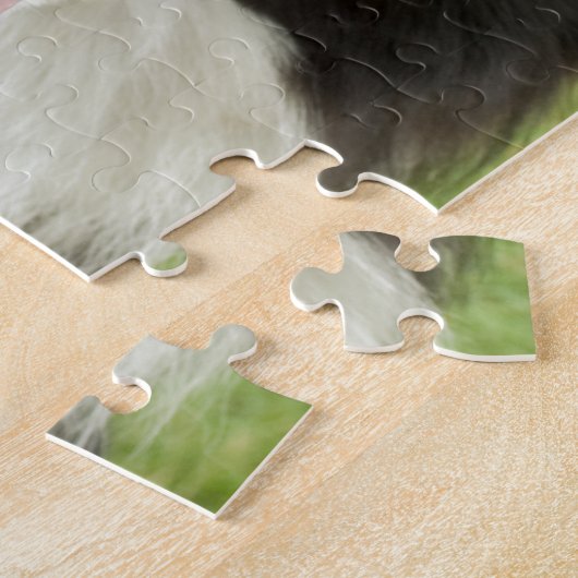 Border Collie Legpuzzel (Zijkant)