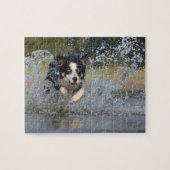Border Collie Legpuzzel (Horizontaal)