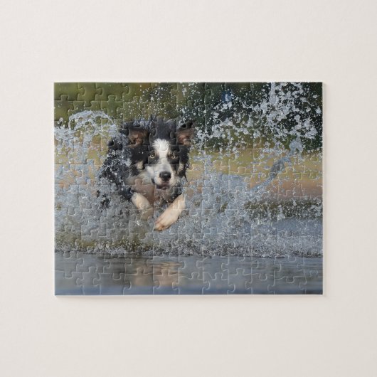 Border Collie Legpuzzel (Horizontaal)