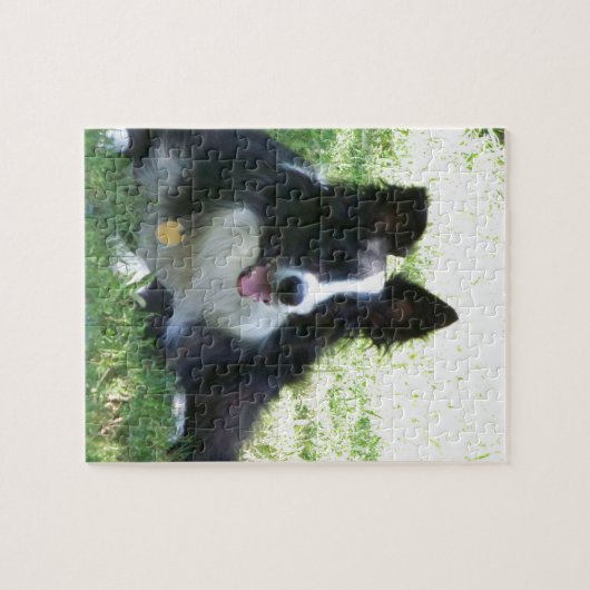 Border Collie Legpuzzel (Horizontaal)