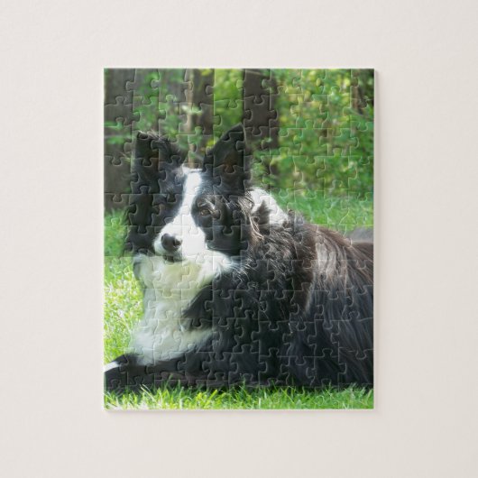 Border Collie Legpuzzel (Verticaal)