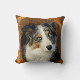 Border Collie leuke hond Kussen
