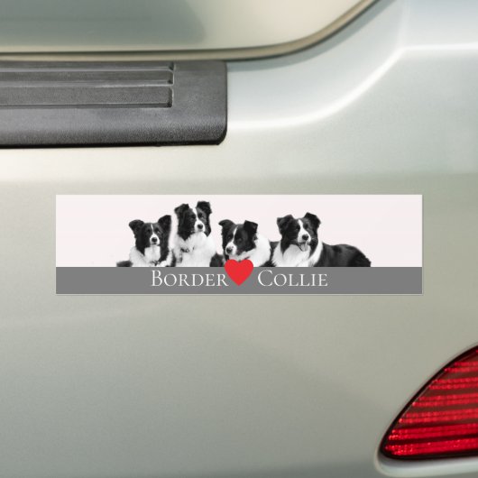 Border Collie Love Bumpersticker (Op auto)