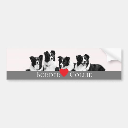 Border Collie Love Bumpersticker (Voorkant)