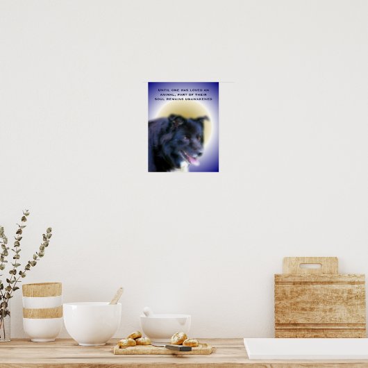 Border Collie Love For Animals Inspirational Poster (Keuken)