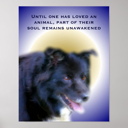 Border Collie Love For Animals Inspirational Poster (Voorkant)