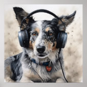 Border collie luisteren naar hoofdtelefoon poster (Voorkant)