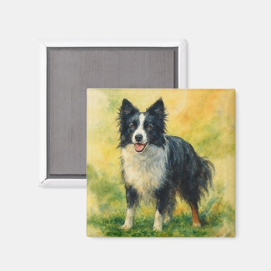 Border Collie Magneet (Voorkant / Achterkant)