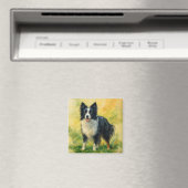 Border Collie Magneet (Insitu (Vaatwasser))