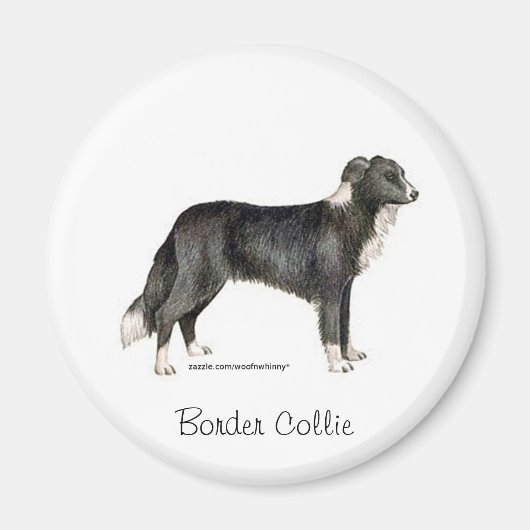 Border Collie Magneet (Voorkant)