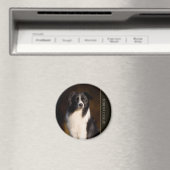 Border Collie Magneet (Insitu (Vaatwasser))