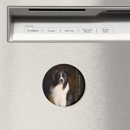 Border Collie Magneet (Insitu (Vaatwasser))