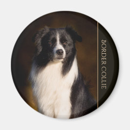Border Collie Magneet