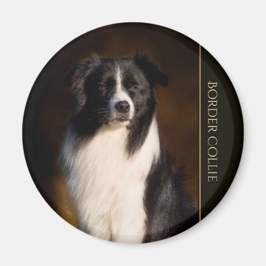 Border Collie Magneet (Voorkant)