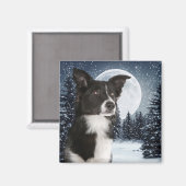 Border Collie Magnet (Voorkant / Achterkant)