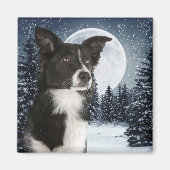 Border Collie Magnet (Voorkant)