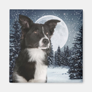Border Collie Magnet